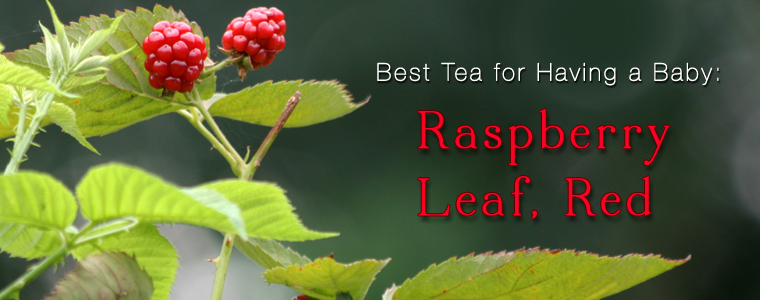 Post image for Tea: Red Raspberry Leaf