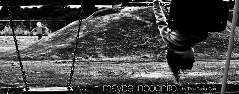 Post image for Fiction: Maybe Incognito by Titus Daniel Gee